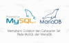 Character Set dan Collation Pada MySQL